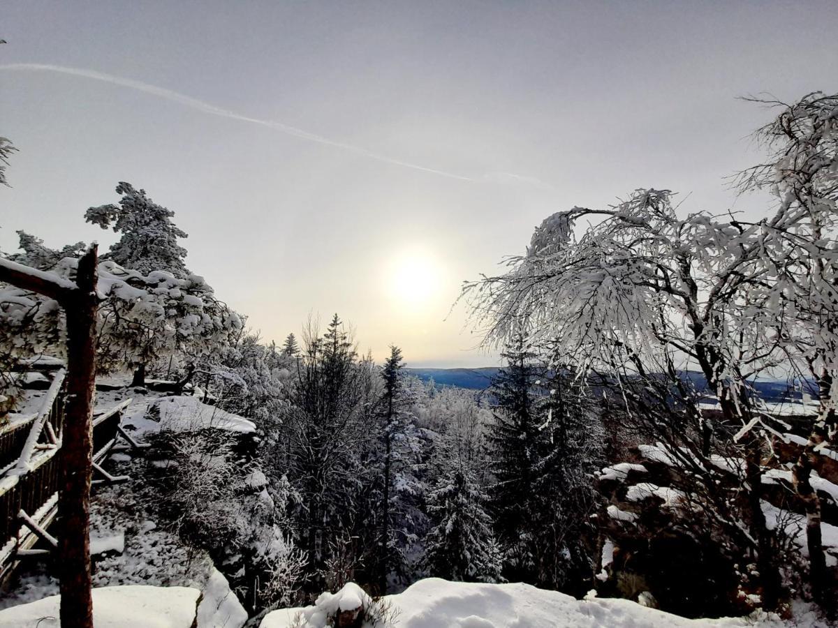 Ferienhaus Angel Weitra Esterno foto